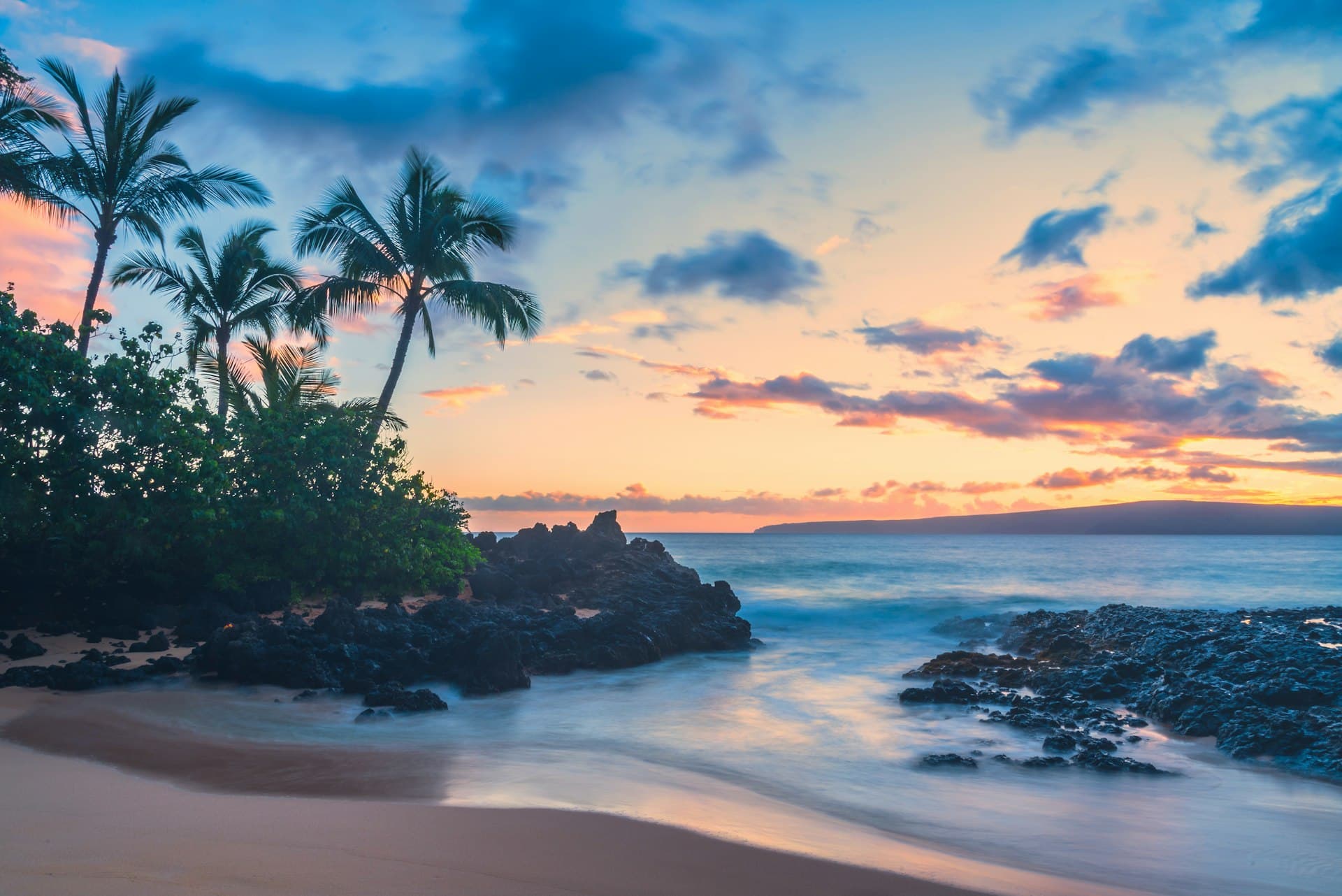 Hawaii coast with palm trees at sunset